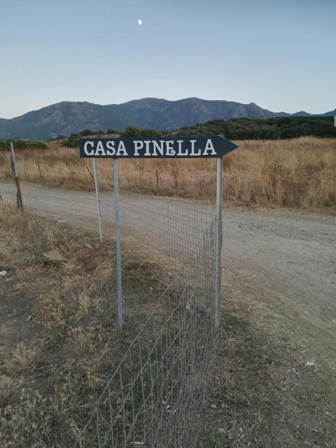 Casa Pinella Villa Villamassargia Luaran gambar